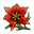 Bloodred Flower