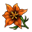 Orange-Coloured Flower