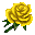 Rose jaune