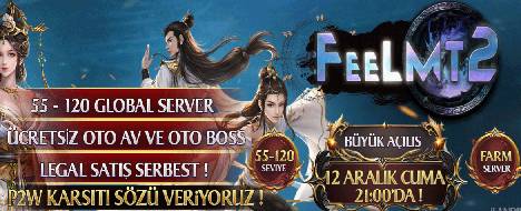 feelmt2 55-120 global  server