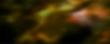 Averion2 - Metin2 Pserver Banner | Official-Like | Max Lv 99