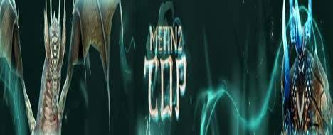 Metin2top